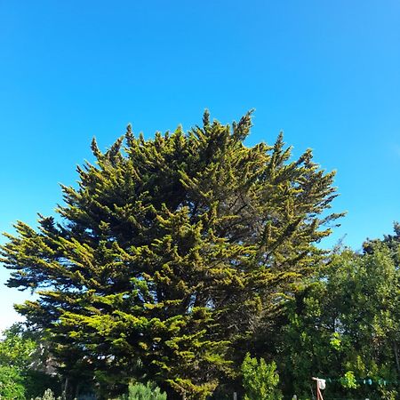 Le Stud' A Saint Pierre D'Oleron ! Apartment Cameră foto