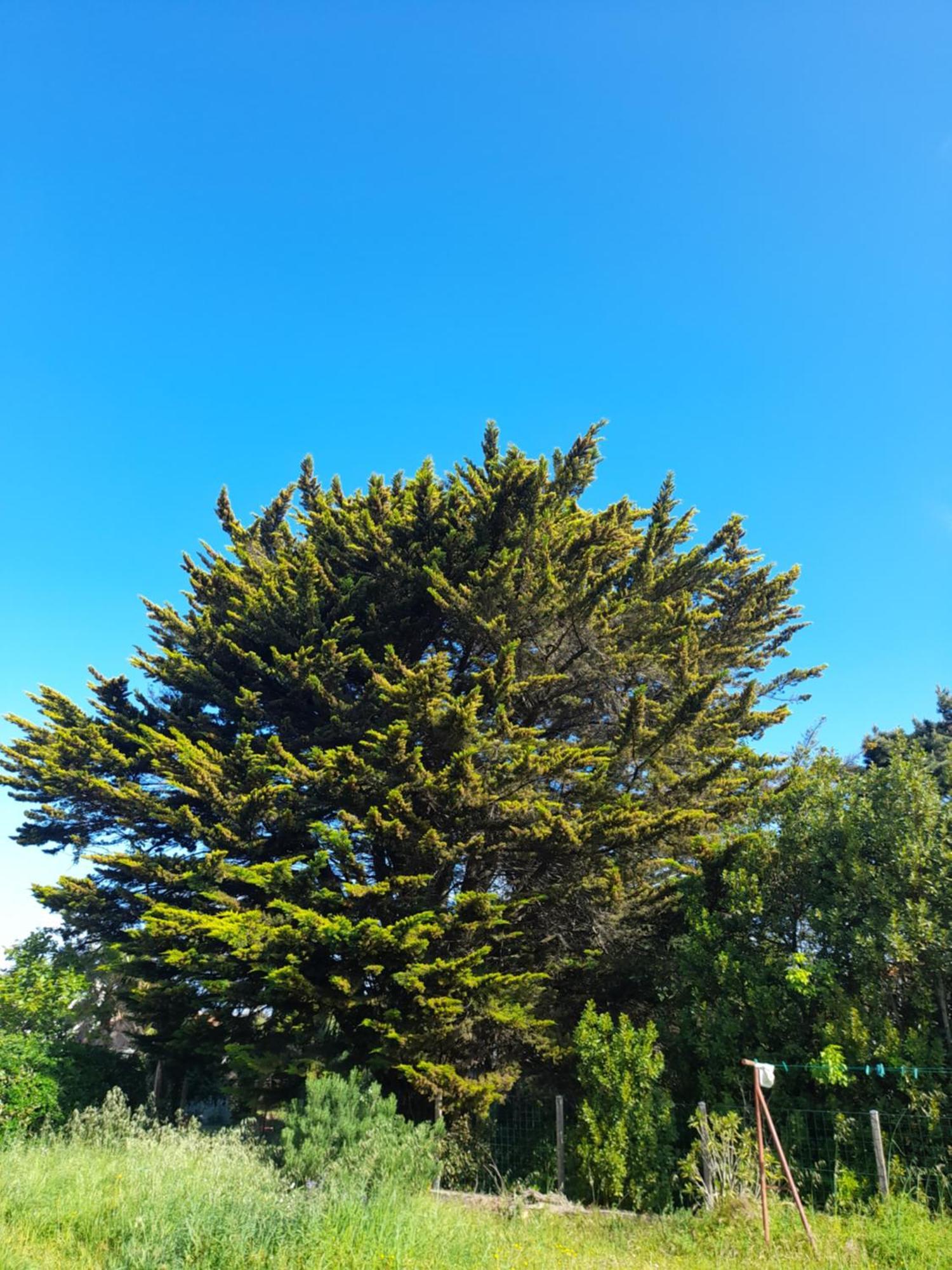 Le Stud' A Saint Pierre D'Oleron ! Apartment Cameră foto